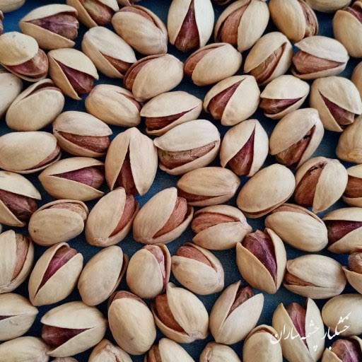 پسته فندقی اعلا کرمان + گزینه ای کاربردی برای سفارش های تجاری + قیمت و خرید عمده